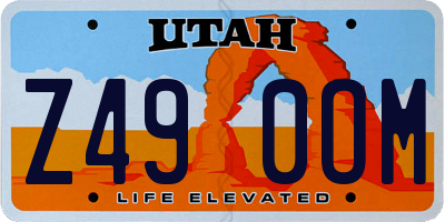 UT license plate Z490OM
