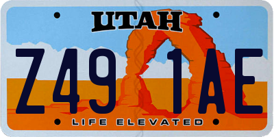 UT license plate Z491AE