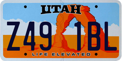 UT license plate Z491BL