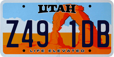 UT license plate Z491DB