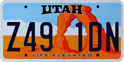 UT license plate Z491DN