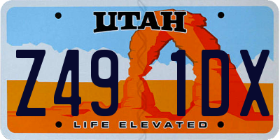 UT license plate Z491DX