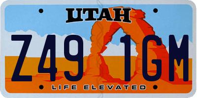 UT license plate Z491GM