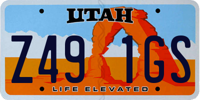 UT license plate Z491GS