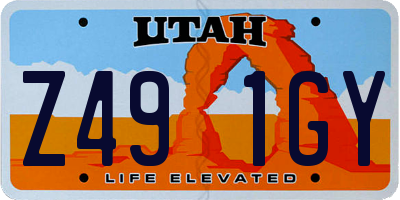 UT license plate Z491GY