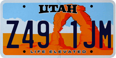 UT license plate Z491JM