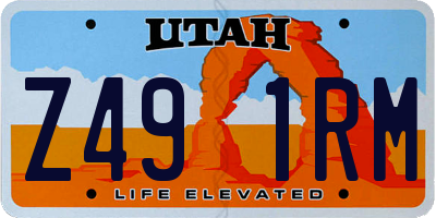 UT license plate Z491RM
