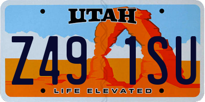 UT license plate Z491SU
