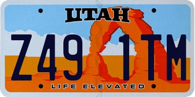 UT license plate Z491TM