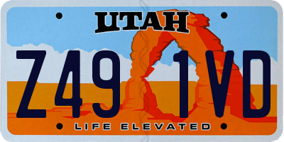 UT license plate Z491VD