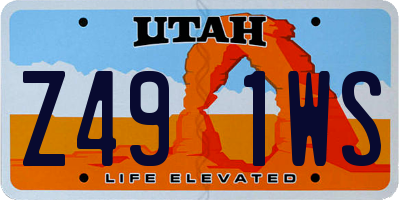 UT license plate Z491WS