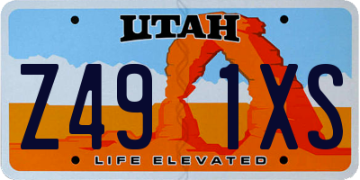 UT license plate Z491XS
