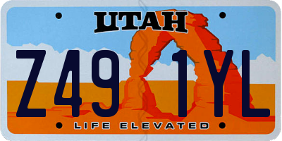 UT license plate Z491YL