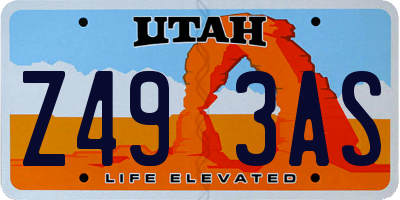 UT license plate Z493AS