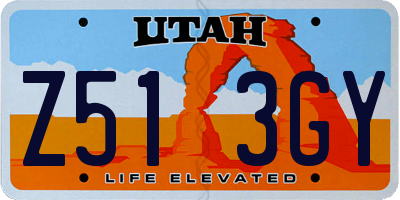 UT license plate Z513GY