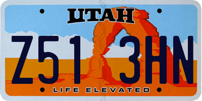 UT license plate Z513HN