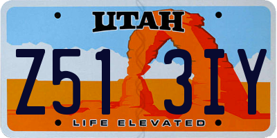 UT license plate Z513IY
