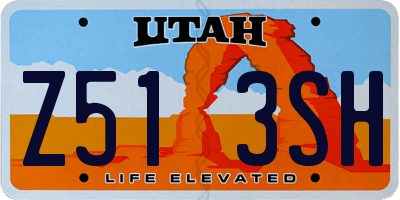 UT license plate Z513SH