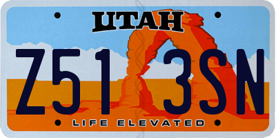 UT license plate Z513SN