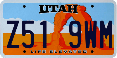 UT license plate Z519WM
