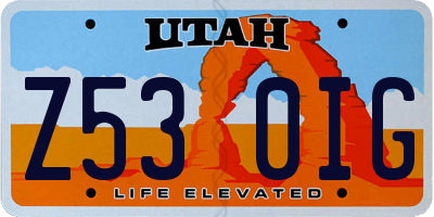 UT license plate Z530IG