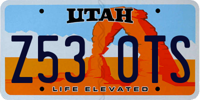 UT license plate Z530TS