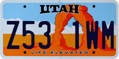 UT license plate Z531WM