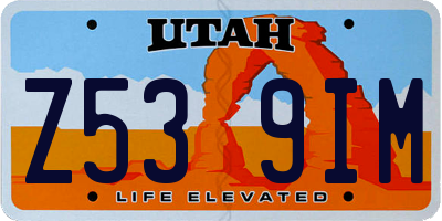 UT license plate Z539IM