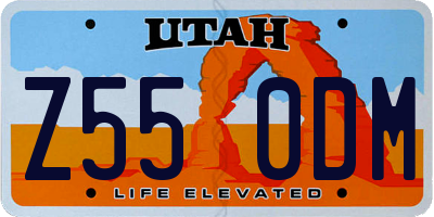 UT license plate Z550DM