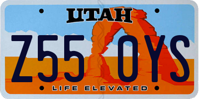 UT license plate Z550YS