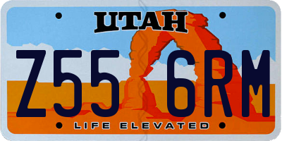 UT license plate Z556RM
