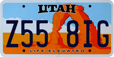 UT license plate Z558IG