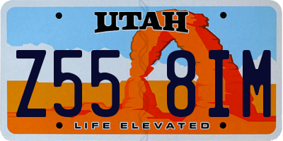 UT license plate Z558IM