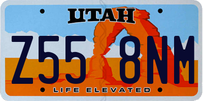 UT license plate Z558NM