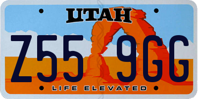 UT license plate Z559GG