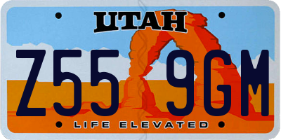 UT license plate Z559GM