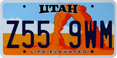 UT license plate Z559WM