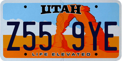 UT license plate Z559YE