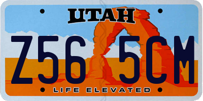 UT license plate Z565CM