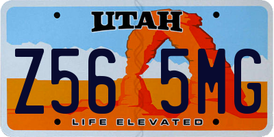 UT license plate Z565MG