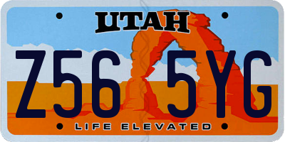 UT license plate Z565YG