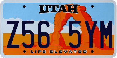 UT license plate Z565YM