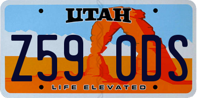 UT license plate Z590DS