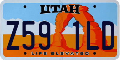 UT license plate Z591LD