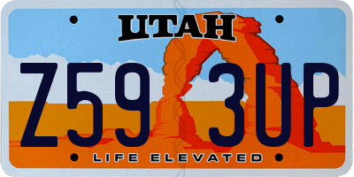 UT license plate Z593UP
