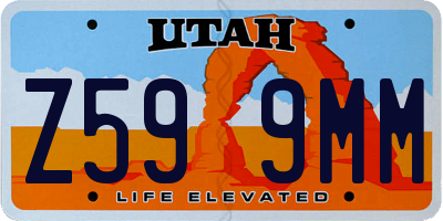 UT license plate Z599MM