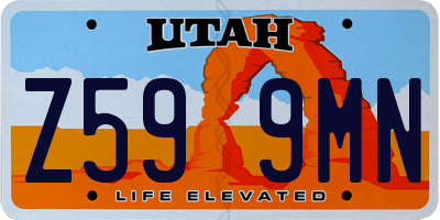 UT license plate Z599MN