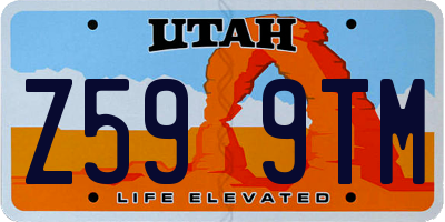 UT license plate Z599TM