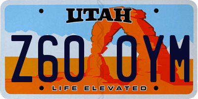 UT license plate Z600YM