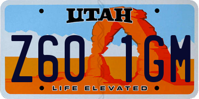UT license plate Z601GM